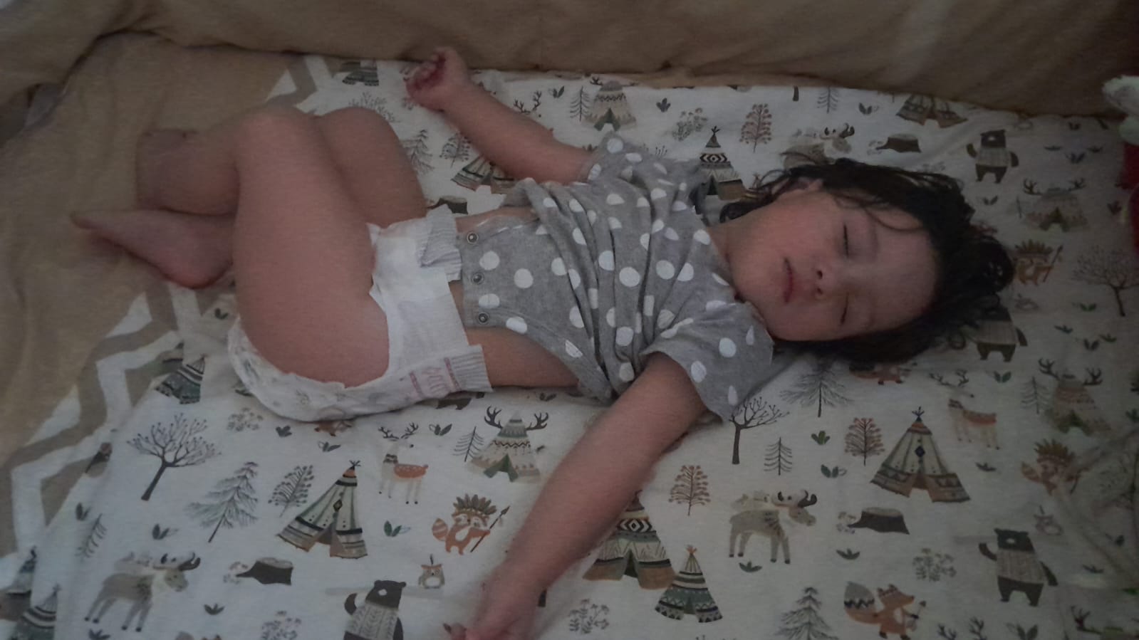 WhatsApp Image 2026-01-01 at 1.53.12 PM.jpeg